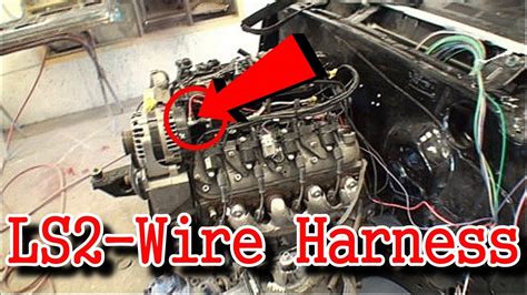 ls2 engine swap wiring harness 